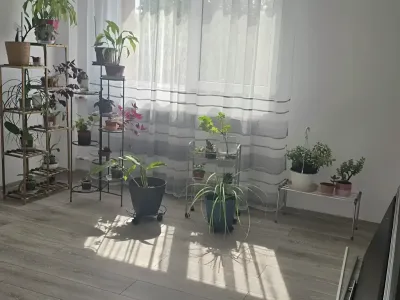 sufragerie verde apartament vanzare cumparare Sector 3, București